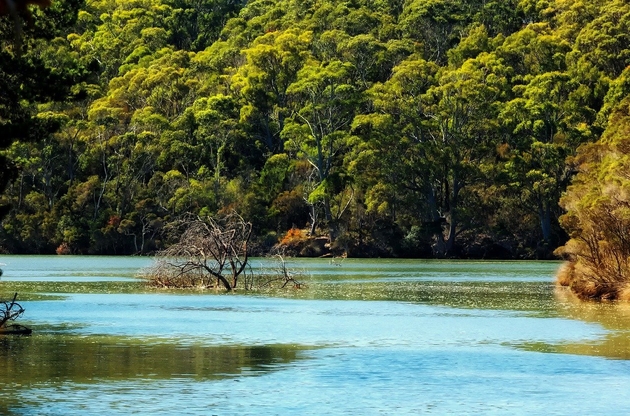 A Beautiful Spot to enjoy …